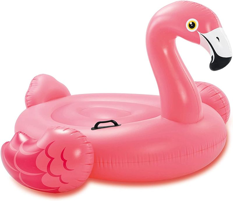 Photo 1 of INTEX Inflatable Pool Float: Pool Toy for Kids
