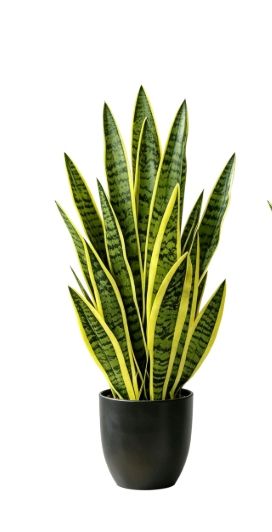 Photo 1 of Joyplants Artificial Snake Plant 2.3FT-2PCS, 27'' Sansevieria Plant with Black Pot, Low Maintenance Mother-in-Law's Tongue for Home Decor Indoor Outdoor, Desk Corner Office Hotel Garden(Yellow-)