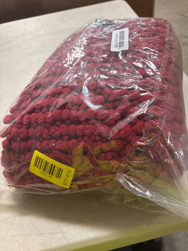 Photo 1 of OLANLY Thick Chenille Absorbent Bathroom Rugs Mat 34x21, Burgundy