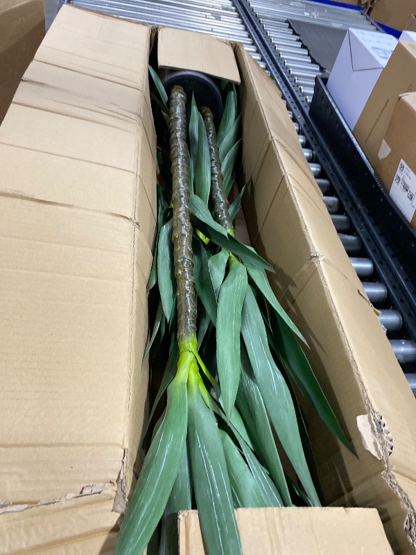 Photo 1 of Waoops Artificial Tree 4.7Ft Faux Agave Plant with 3 Heads in Plastic Pot Fake Tree for Home Decor Indoor or Outdoor Office Decoration Housewarming Gift (4.7 Feet-2 Pack)