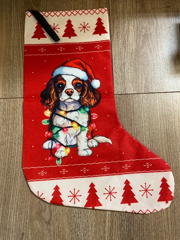 Photo 1 of Cavalier King Charles Spaniel Christmas stocking features a festive design of the breed wrapped in colorful holiday lights and wearing a Santa hat