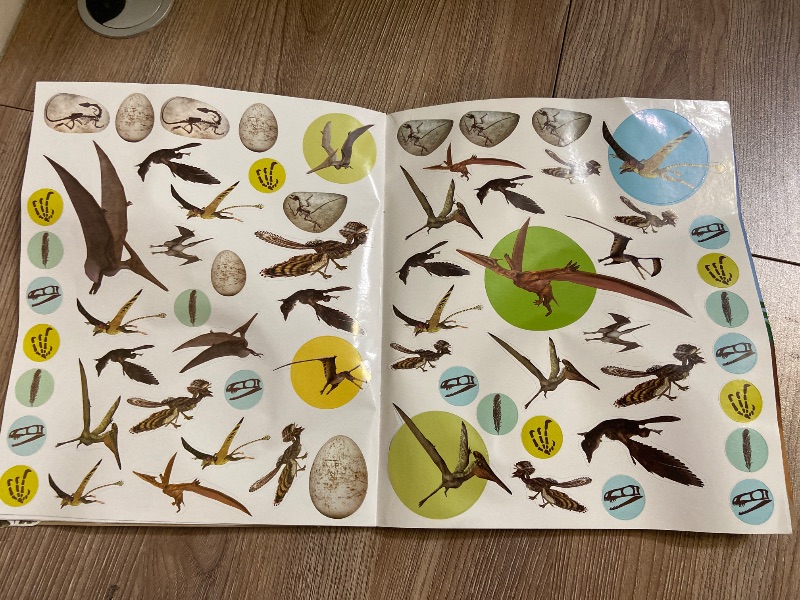 Photo 1 of EyeLike Stickers: Dinosaurs