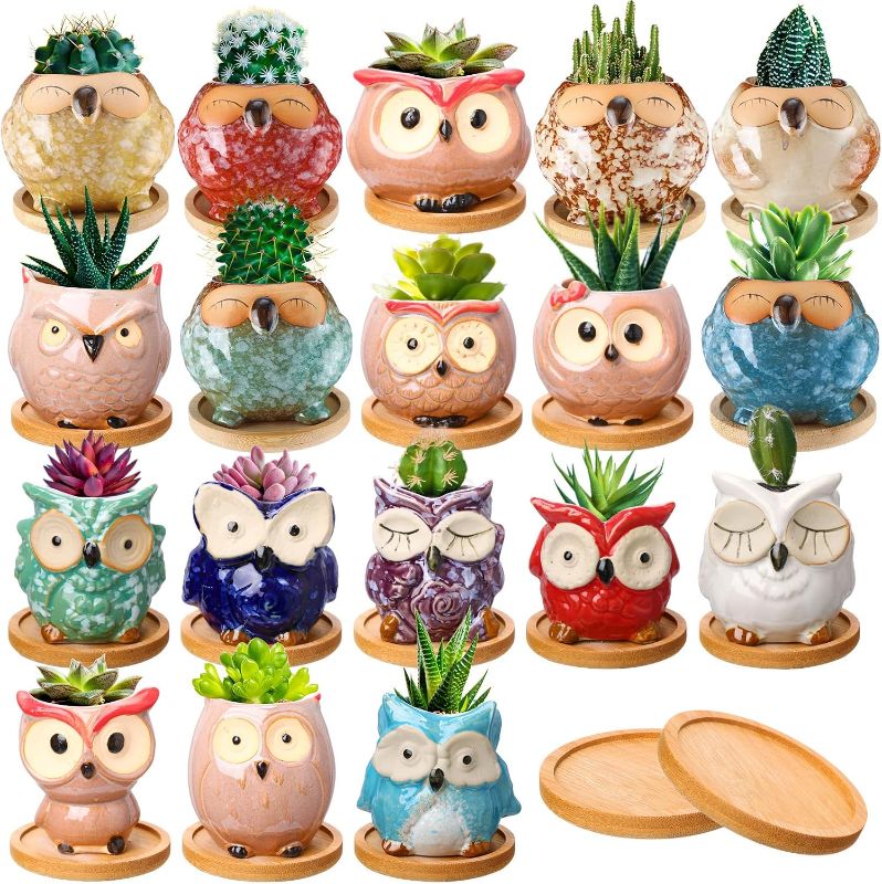 Photo 1 of 18 Pcs 2.5 Inch Owl Ceramic Succulent Planter Pots Mini Small Ceramic Pots with Drainage Hole and Bamboo Tray for Succulents Glaze Cactus for Home Garden Office Desk Decoration Gift Ideas
