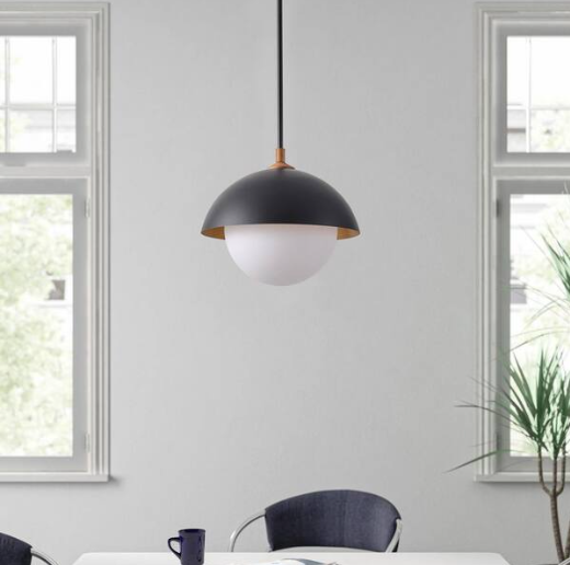 Photo 1 of Modern 1-Light Pendant Light Hanging Ceiling Light with Globe Glass Lampshade