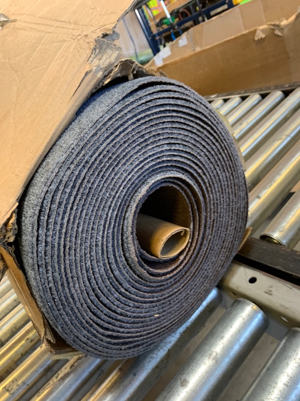Photo 1 of thin carpet 