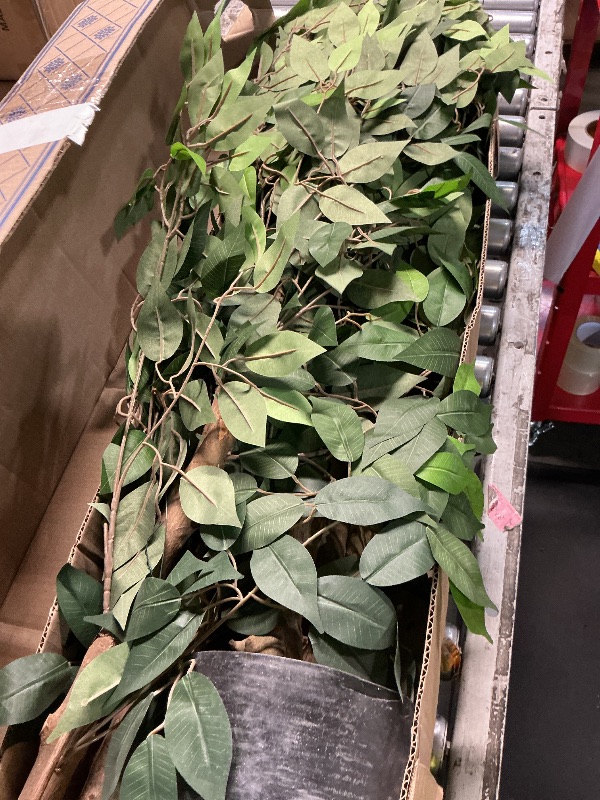 Photo 1 of ** parts only tree does not connect together minor damage**
Keeplush 7ft Large Ficus Artificial Trees with Natural Curved Trunks, 84" Tall Lush Faux Tree for Home Decor Indoor, Green Lifelike Fake Ficus Tree Artificial Plants in Pot