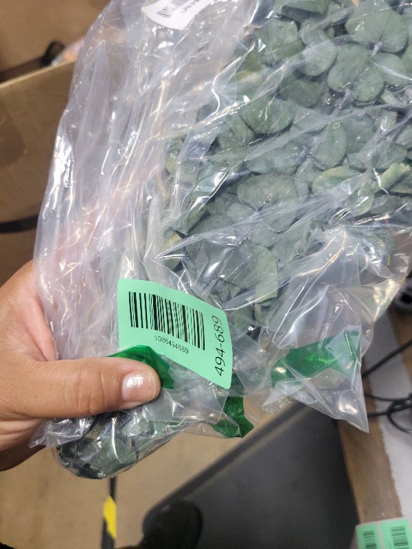 Photo 1 of 10 Pcs Dried Eucalyptus Stems 17" Real Eucalyptus for Shower Hanging