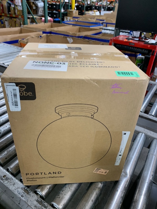 Photo 1 of Globe Electric 1-Light Semi-Flush Mount Ceiling Light