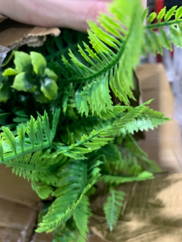 Photo 1 of DOPGIB 72"x128" Greenery Artificial Plant Roll