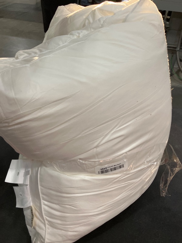 Photo 1 of YOUR MOON Queen Size Down Alternative Pillows (White)