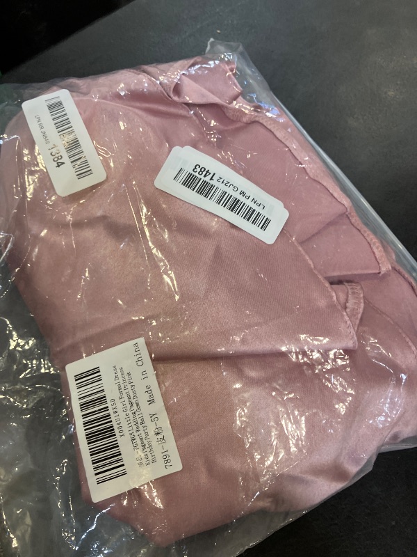 Photo 1 of FGTWGS Girls Formal Dress Dusty Pink 4-5T