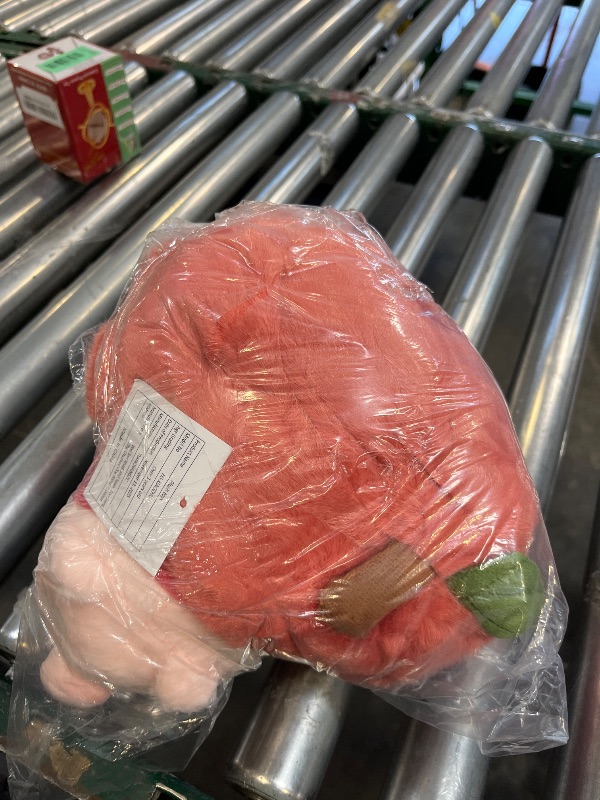 Photo 1 of TIANCHANGZC Apple Pig Plush Pillow, 9.8 Inch