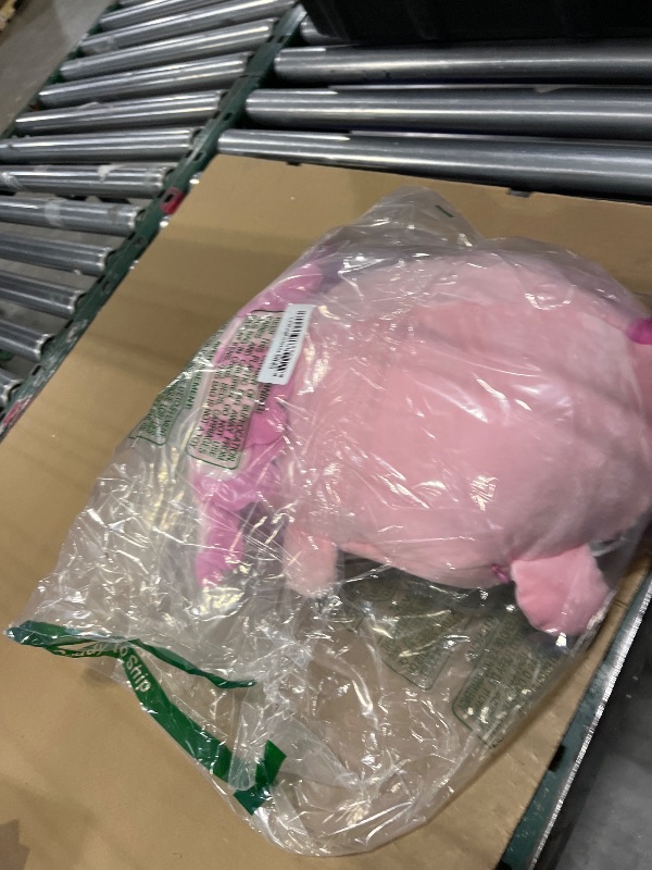 Photo 1 of MaoGoLan Giant Axolotl Plush 23.5 Inch, 3 Baby Stuffed Axolotls Inside