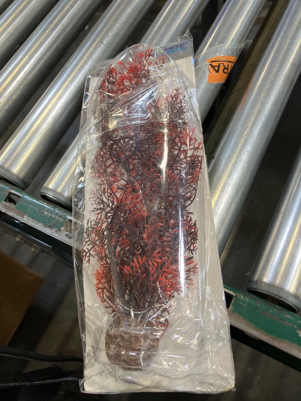 Photo 1 of biOrb Sea Fan Medium Crimson