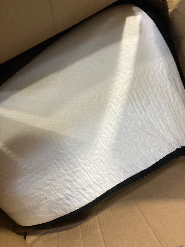 Photo 1 of Loiion Dog Car Bed - Black