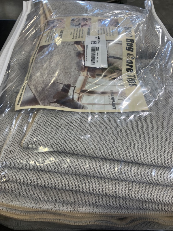 Photo 1 of CHAMPLANT Beige Blue Washable Area Rug 8'x10'