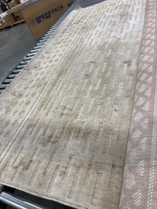 Photo 1 of JONATHAN Y Moroccan Geometric Indoor Outdoor Area Rug 8X10 Beige, Xlendi High-Low Pile for Backyard, Patio, Porch, Easy-Cleaning, High Traffic, Pet-Friendly, Non-Shedding (SBH100A-8)----CLEANING NEEDED 