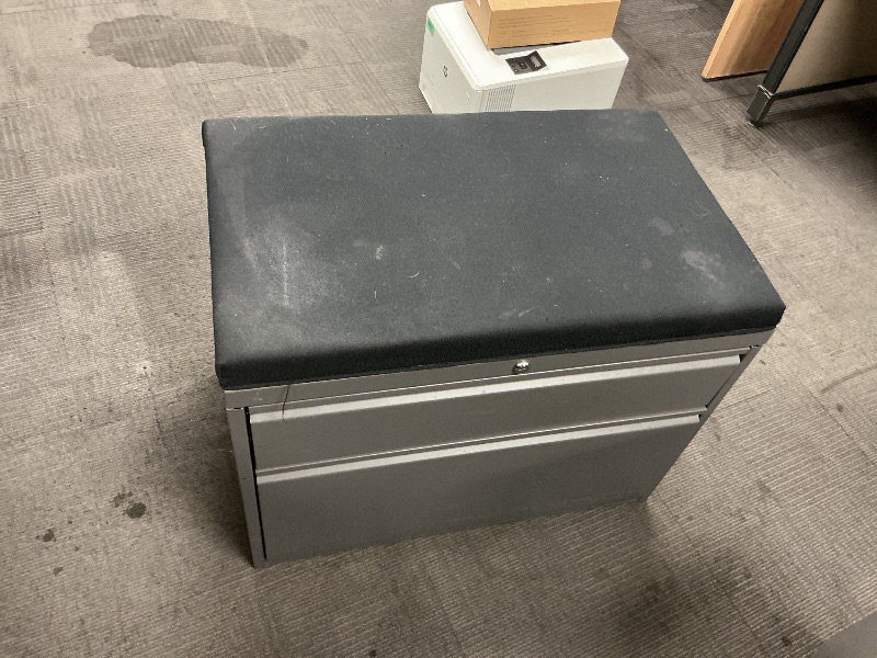 Photo 1 of File cabinets
