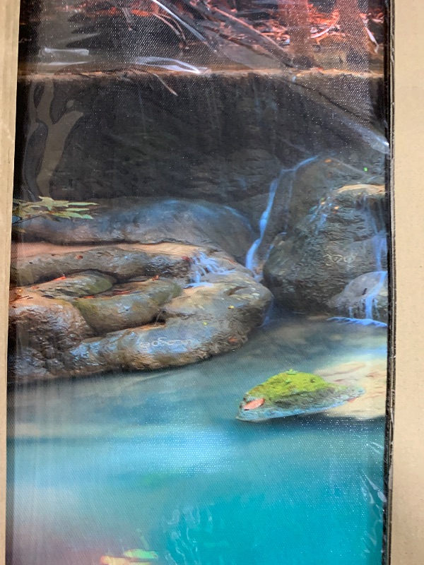 Photo 1 of Muolunna Wall Art Canvas Print Picture