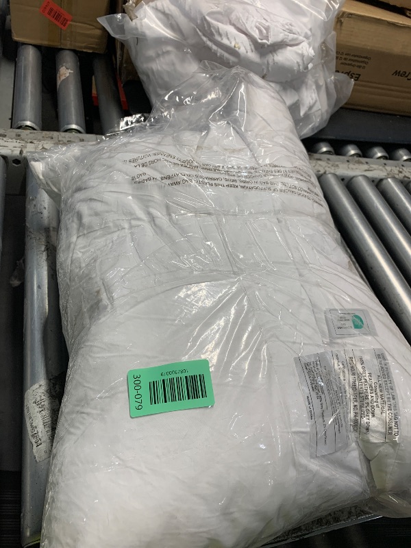 Photo 1 of ****STOCK REFERENCE PHOTO***puredown® 20x20 Pillow Inserts, Feather Down Filled for Support, Set of 2