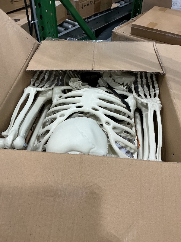 View 3 of [DAMAGED] PETZOOKA 5.4FT Halloween Skeleton with Dog