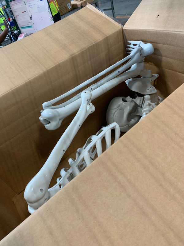 Photo 1 of
HBSTK 2 Pack 36" Halloween Skeleton, Full Body Life Size Posable Skeletons with Movable Joints, Realistic Plastic Human Bones Anatomy Model for Halloween Decorations Outdoor Yard Décor
Brand: HBSTK
4.5 4.5 out of 5 stars (261)
500+ bought in past month