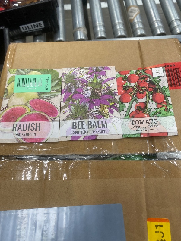 Photo 1 of **3 SEED PACKETS** Seed Needs Watermelon Radish Seeds (1 Pack)RED CHERRY TOMATO, BEE BALM