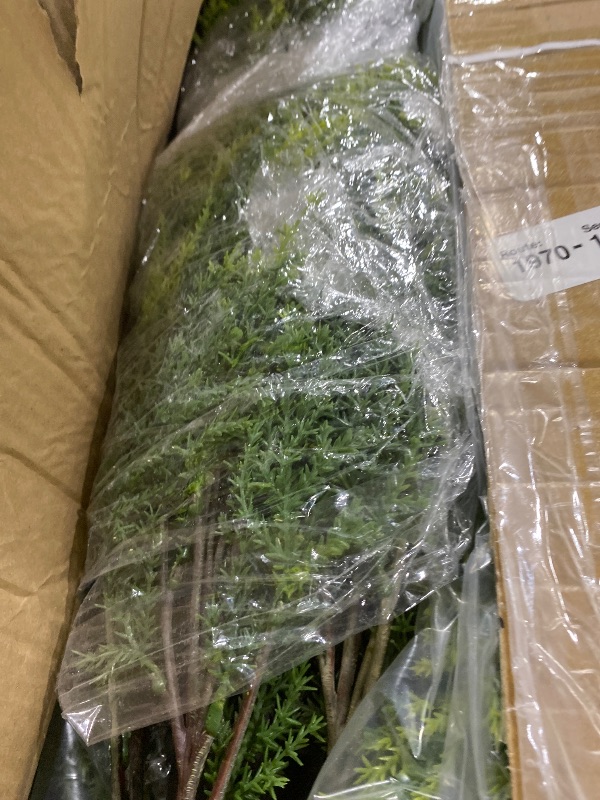 Photo 1 of Arcadia Silk Plantation 7ft Artificial Topiary Cedar Tree (Set of 2)