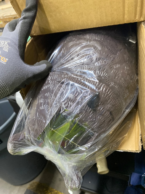 Photo 1 of *Minor damage *Owlsome Solar Owl with Glowing Eyes, Rotating Head, Hoot Sound, Motion Detector and Silent Mode, Plastic Owl Garden Sculpture, Garden Decoration