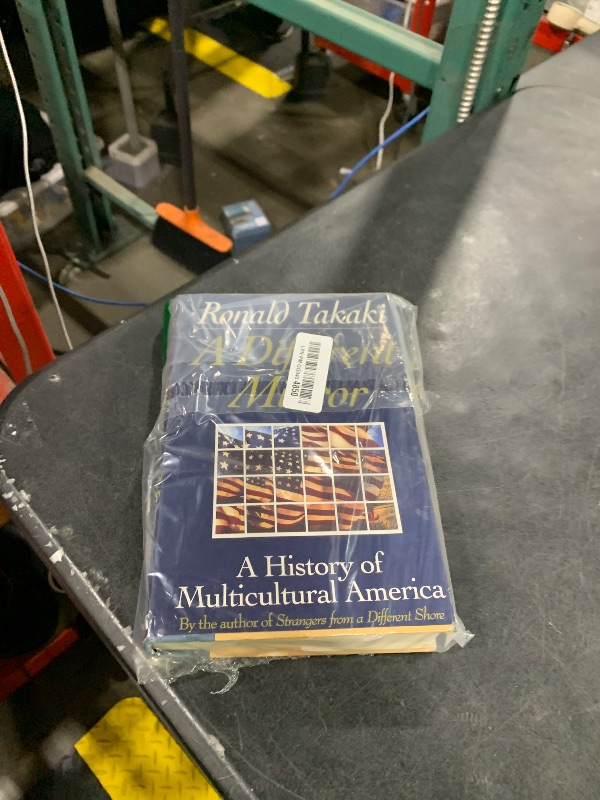 View 2 of A Different Mirror: A History of Multicultural America