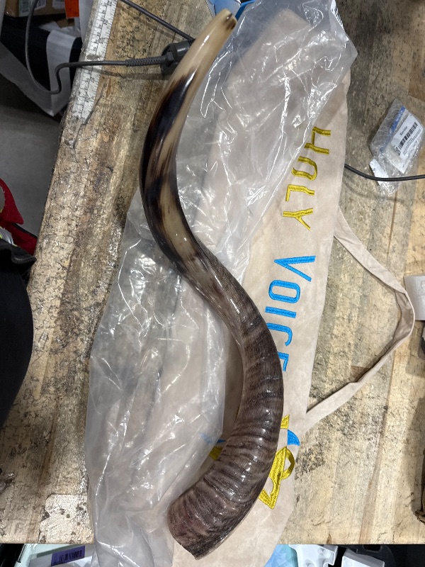 View 3 of ***SEE NOTES****HOLY VOICE Kudu Shofar 28"-32"
