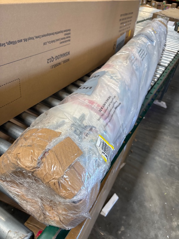 Photo 1 of Loloi Rifle Paper Co Eden Mughal Rose Blush 7'-6" x 9'-6" Area Rug