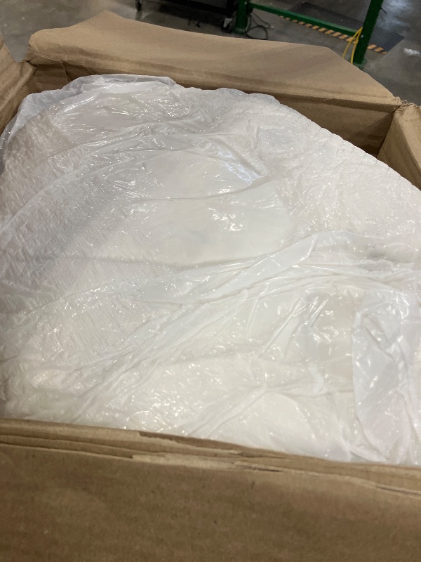 Photo 1 of Ltinhome Feather Down Comforter California King