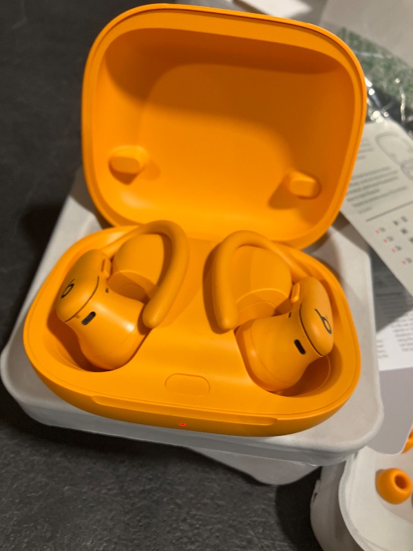 Photo 1 of Beats Powerbeats Pro 2 Wireless Earbuds