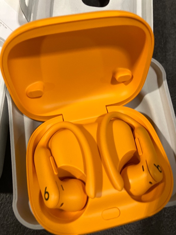 Photo 1 of Beats Powerbeats Pro 2 Wireless Earbuds