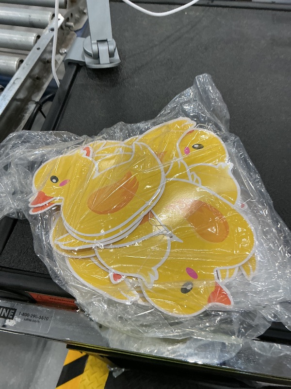 Photo 1 of Humyoun Duck Birthday Banner Garland