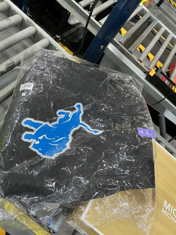 Photo 1 of FANMATS 42790 NFL - Detroit Lions - Black KAMADO Style Grill Cover with Primary Logo - 27" x 27" x 40"