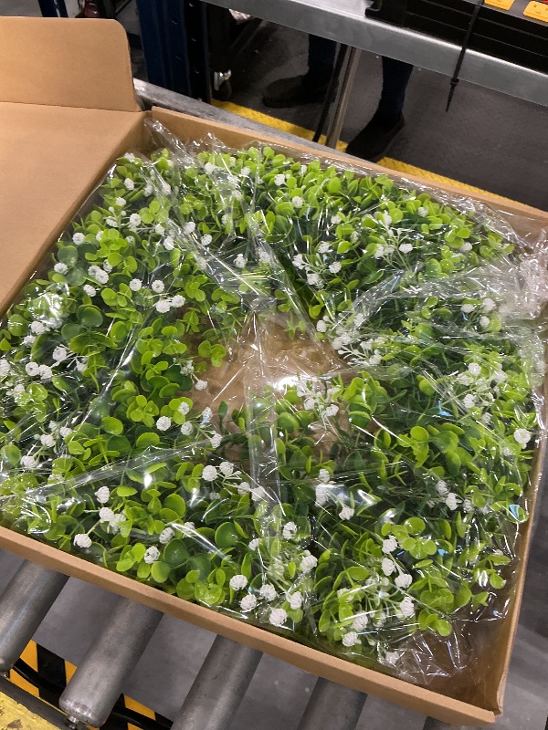 Photo 1 of Modalove 20'' Boxwood Wreath