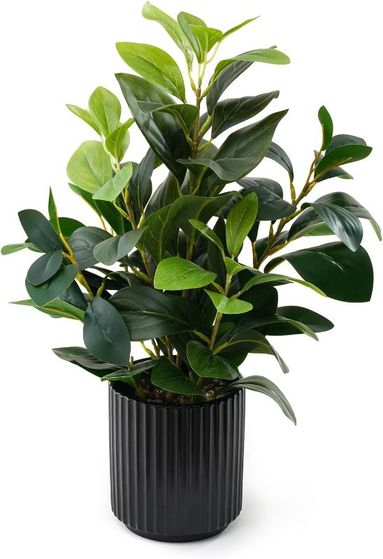 View 1 of 16 inch Artificial Plants Indoor Realistic Touching Evergreen Leaf Fake Plant with Creamic Black Pot for Home Office Living Room Bathroom Office Table Bookshelf Decor