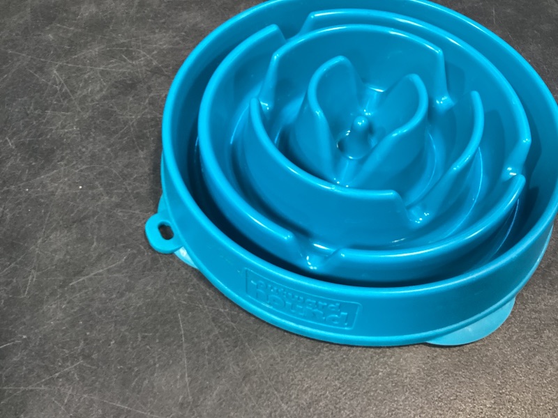 Photo 1 of Outward Hound Fun Feeder Slo Bowl - Large, Turquoise