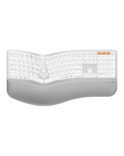 Photo 1 of EK01 Plus Backlit Ergonomic Keyboard