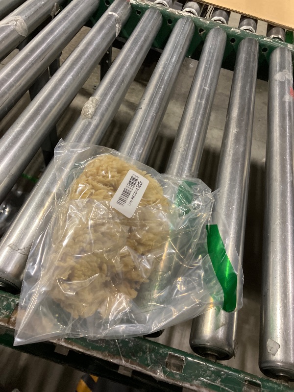 Photo 1 of Bath & Shower Express Sea Wool Sponge X-Large