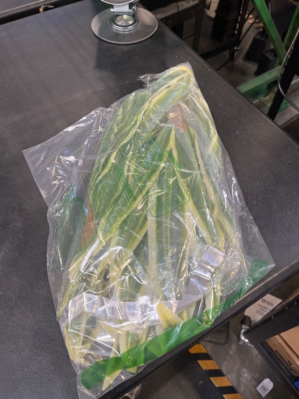 View 2 of Hotop Artificial Dracaena Stems (2 Pack)
