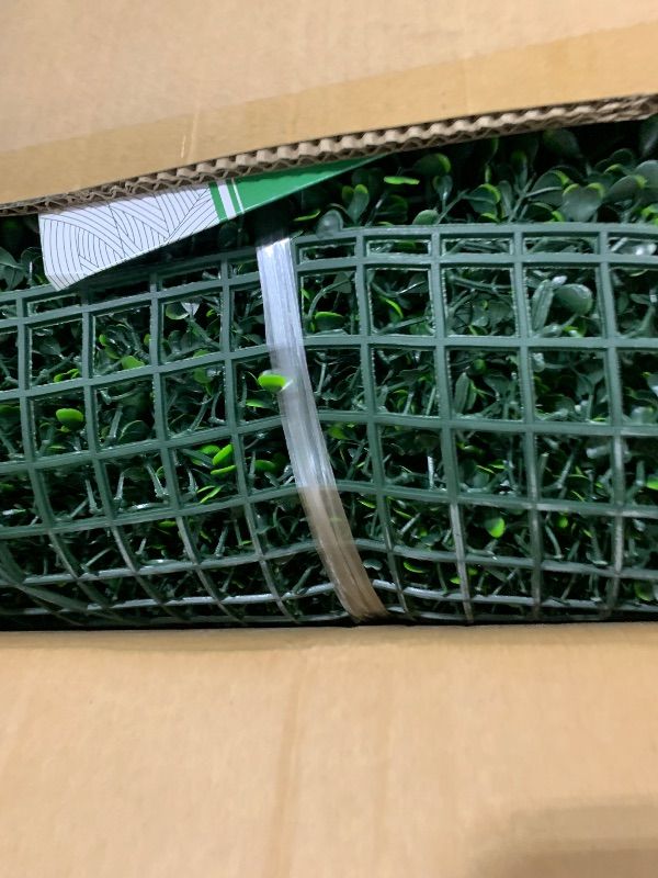 Photo 1 of Grooy Artificial Boxwood Roll Panels 40"x120"
