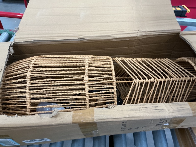 Photo 1 of MIXL Hand Woven Rattan Floor Lamp