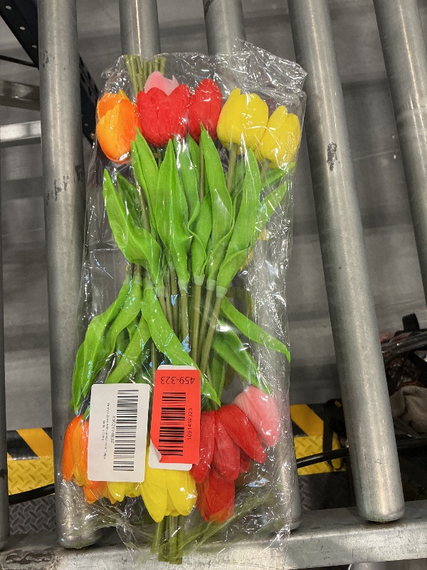 Photo 1 of Tulips