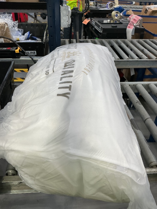 Photo 1 of L LOVSOUL Goose Down Comforter Twin