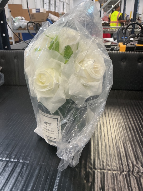 Photo 1 of DILATATA Artificial Flowers in Vase