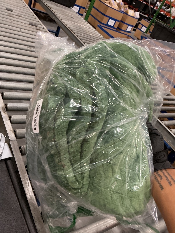 Photo 1 of Inhand Fleece Throw Blanket - Green, 50"x60"