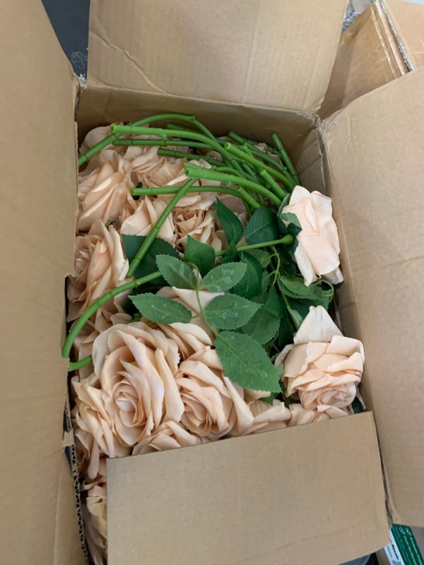 Photo 1 of LATRORA 100 Pcs Artificial Silk Beige Roses